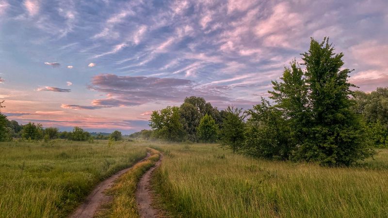 брянская область, трубчевск, лето, луг, вечер «Луговые дороги» фото превью