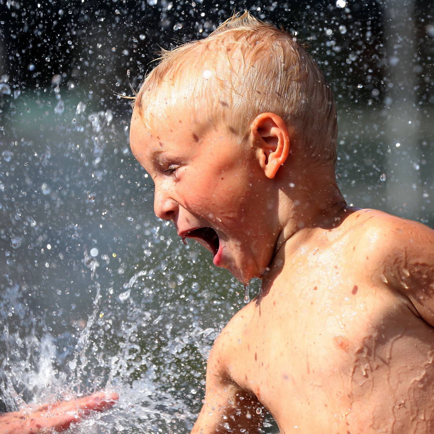 , Бибичков Михаил