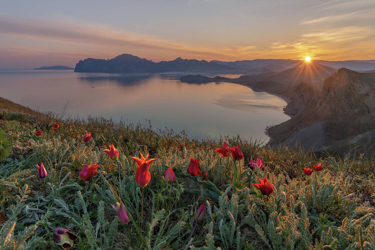 Фототуры с Владимиром рЯбковым, #topnature #russpasibo #magic_shots #lovelyRussia #sunset_vision #exclusive_sky  #exclusive_shots #loves_russia2 #photoarena_nature #nature_sultans #nature_perfection #rsa_sky #rsa_sunset #photorussia #rsa_naturepics #sunse, Владимир Рябков