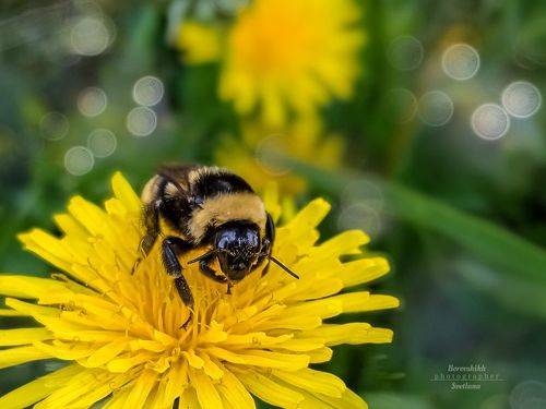 Проснулся...