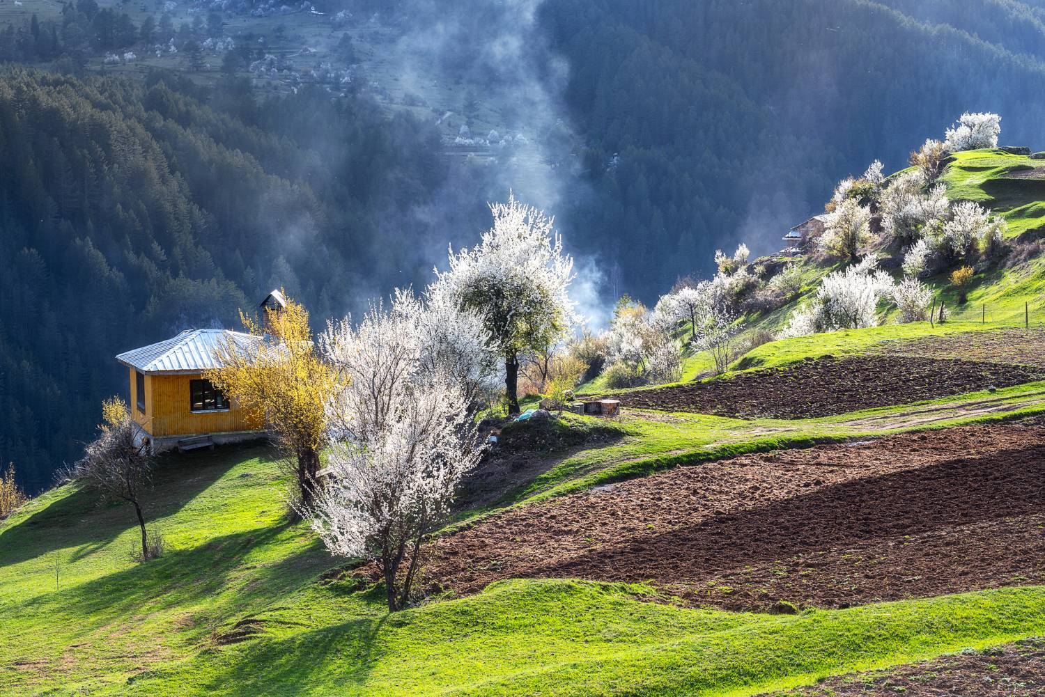 , Mariyana Atanasova - Lucero