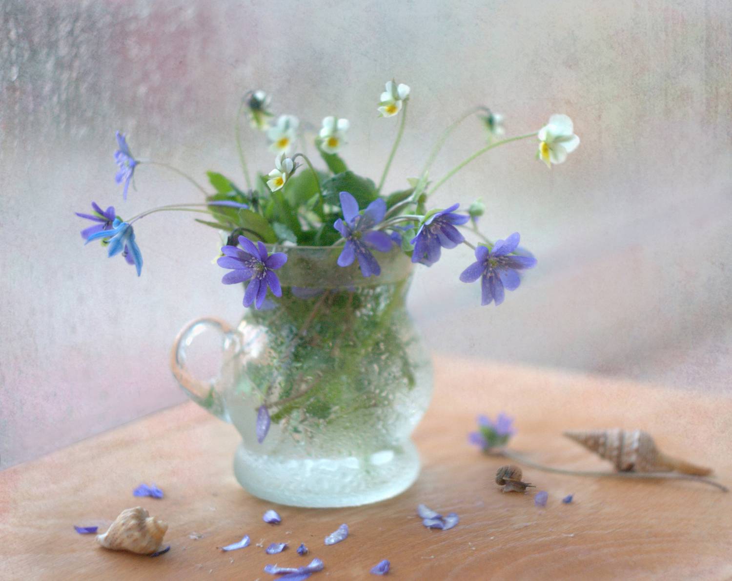 , Хохлова (Ермохина) Наталья