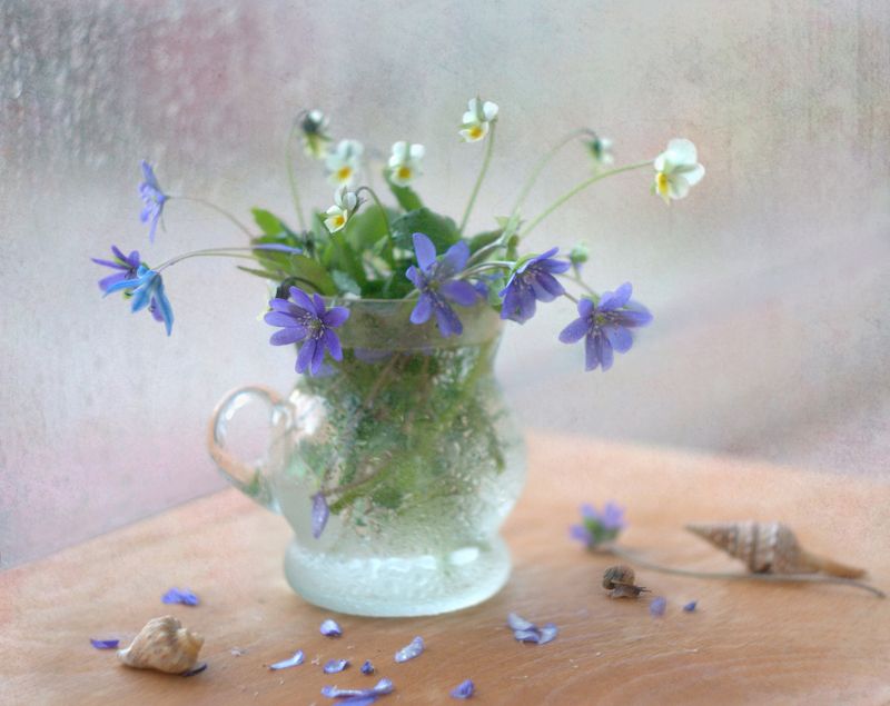 Шла весна неспешным шагом фото превью