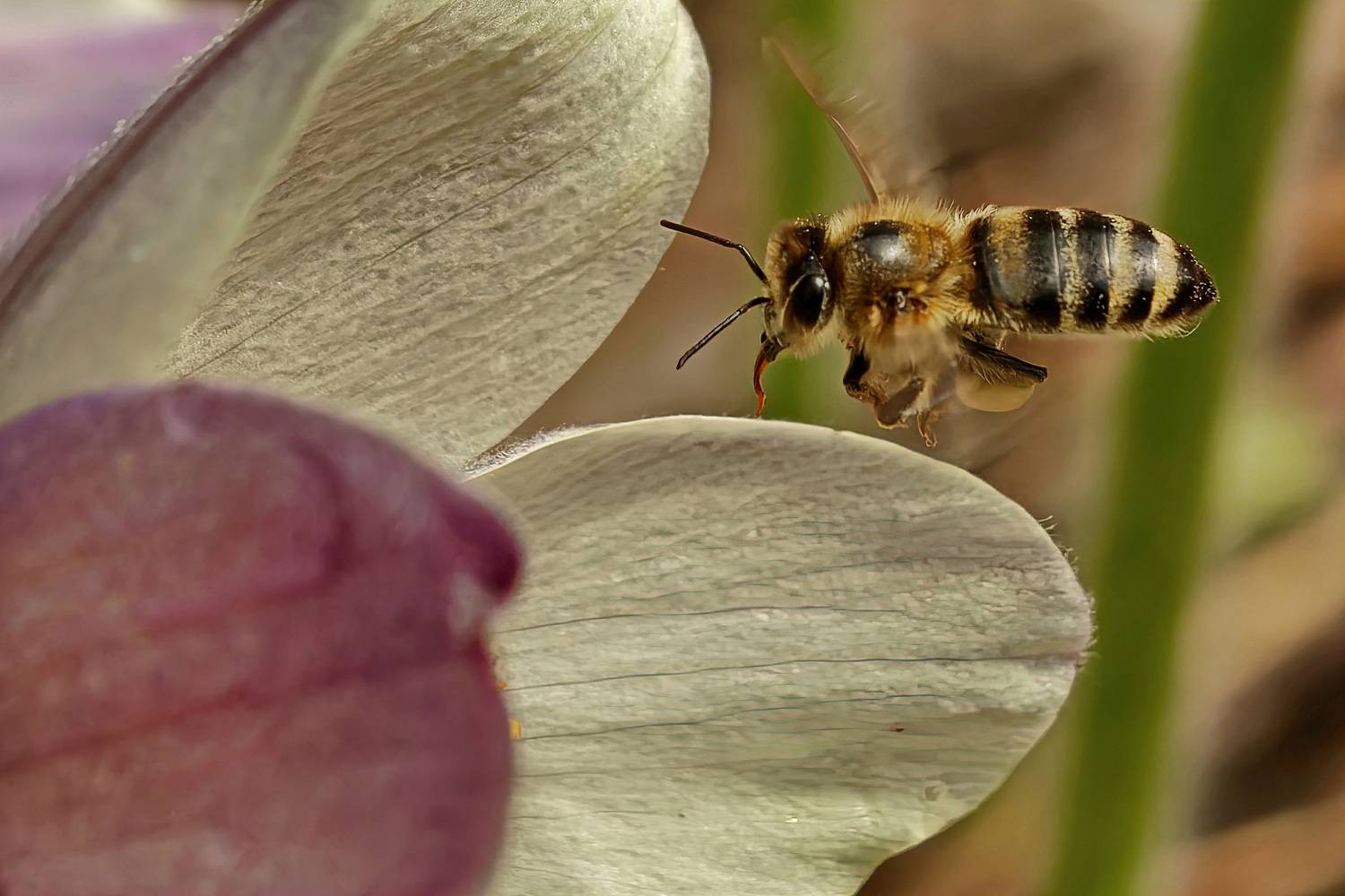 , Кузнецов Дмитрий