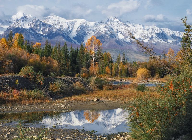 алтай, республика алтай, курай, чуя, северо-чуйский хребет, горы, осень, пейзаж Северо-Чуйский хребет фото превью