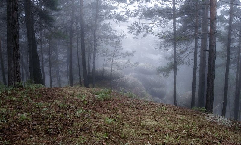 Туман на Воробушках фото превью