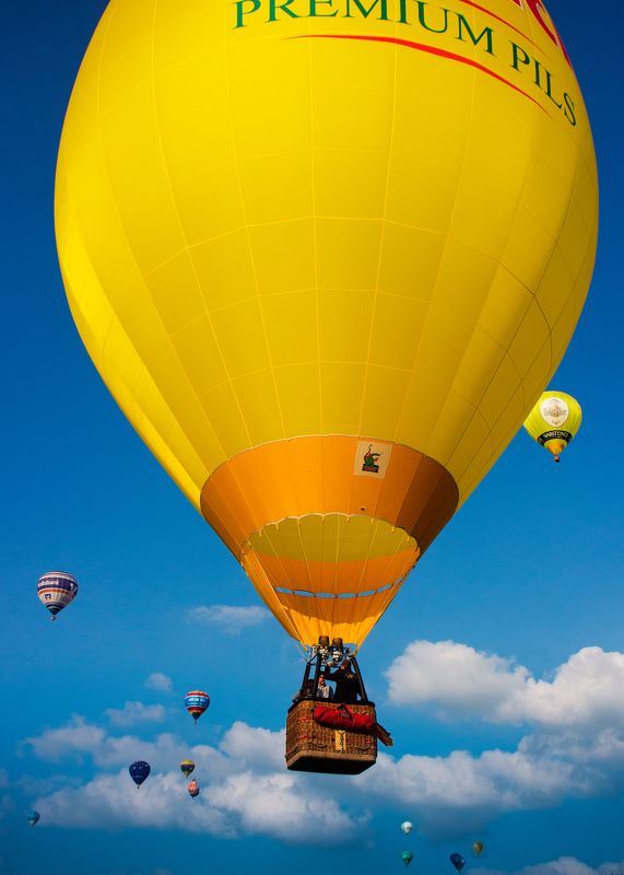 UP (Вверх) фото превью