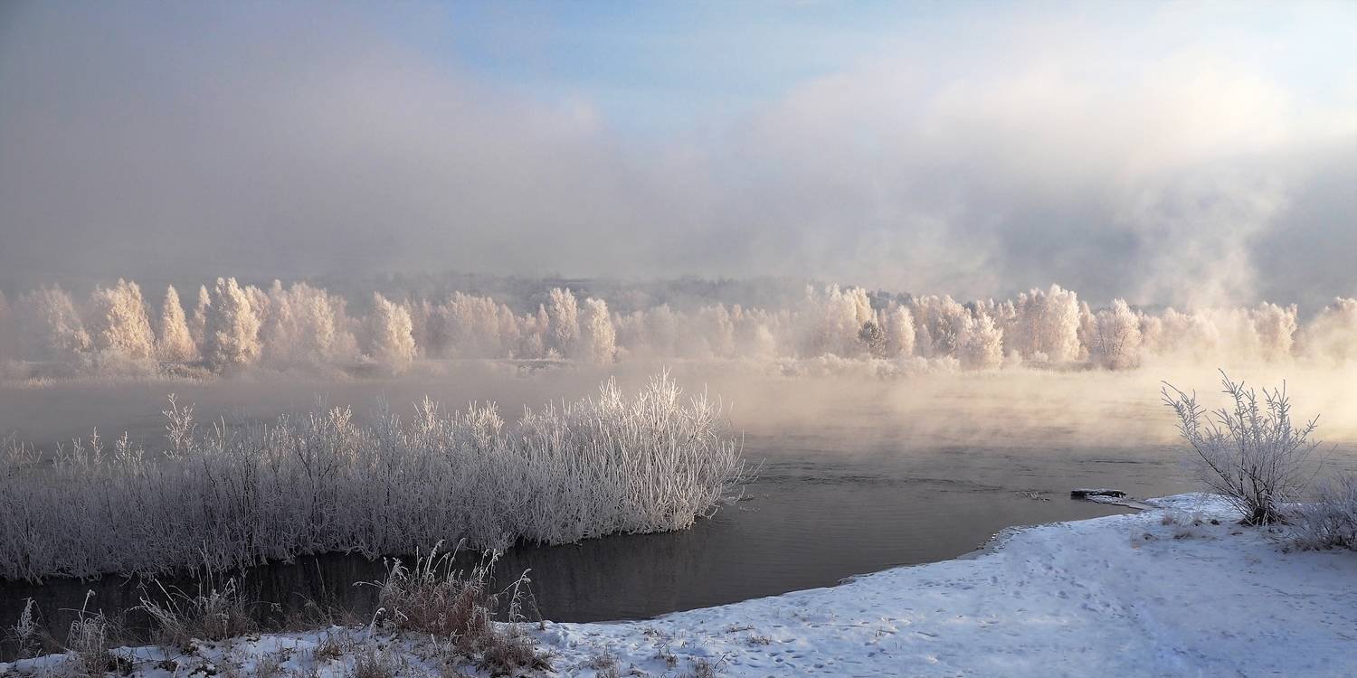 , Александр Попов