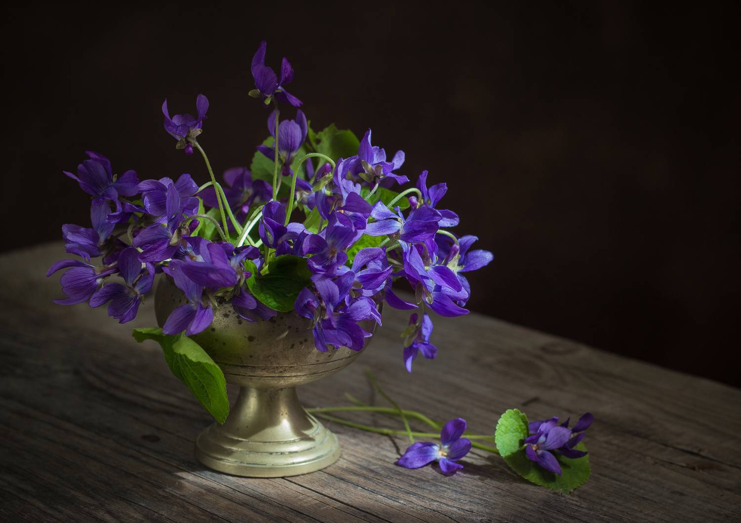 , Хвойнова Елена