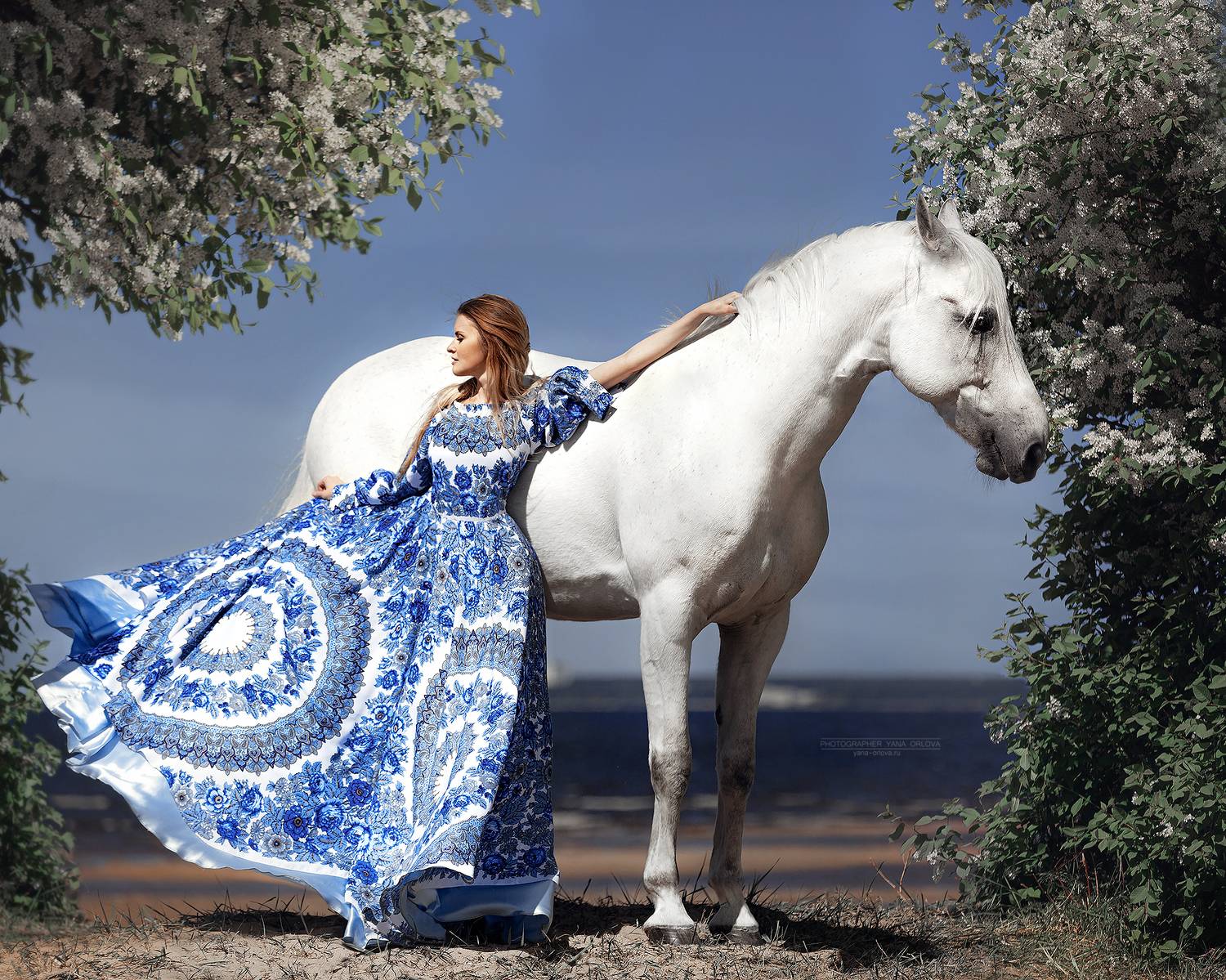 horse, horses, лошадь, конь, конный фотограф Яна Орлова, конныйфотограф, кэнон, canon, 7020028, лошади, фотографияслошадью, фотосессияслошадью, фотосессиислошадьми, коннаяфотография, pferd, horsephotographer, женский портрет, девушка , Яна Орлова