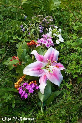 Букет в траве