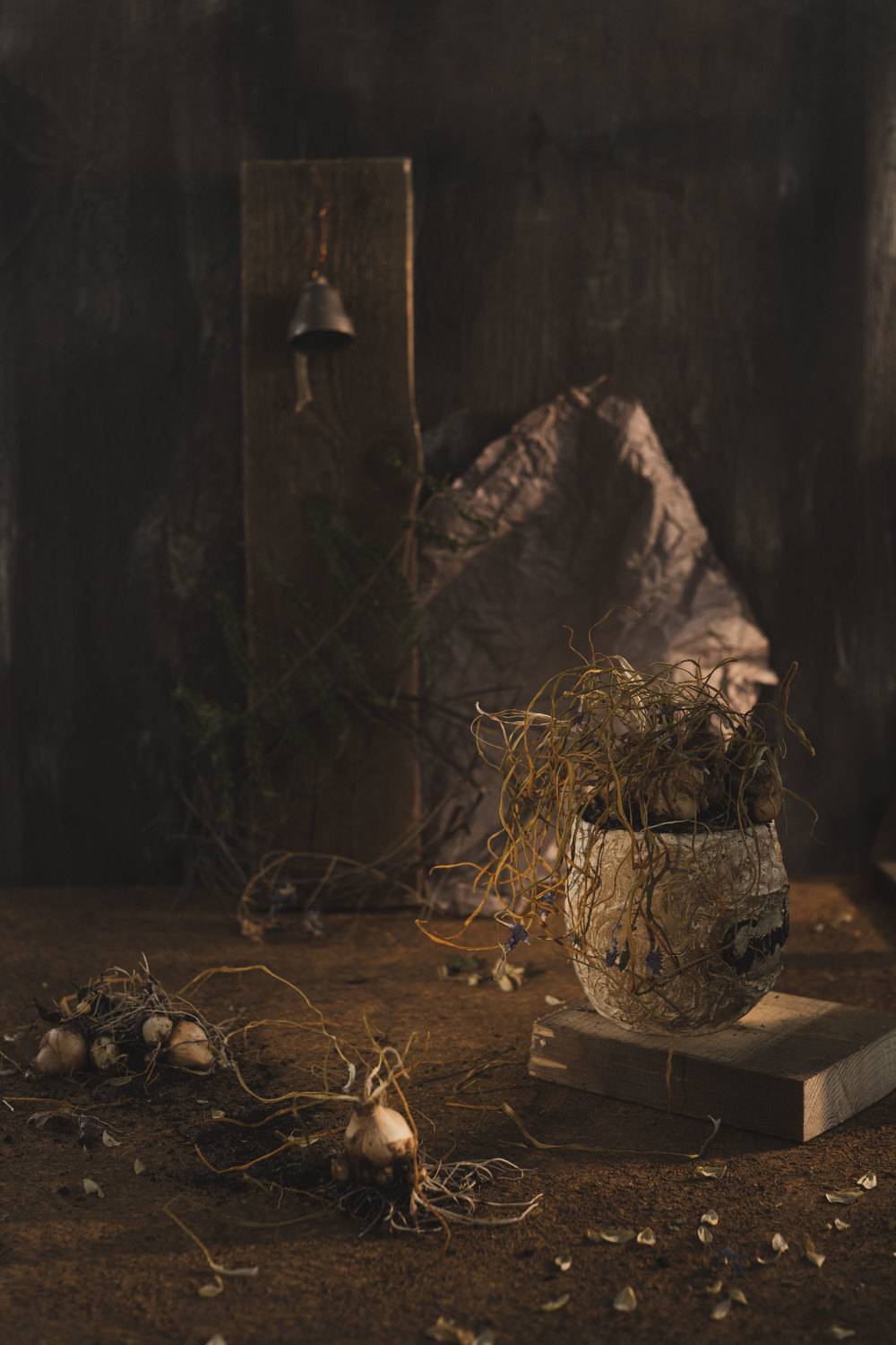 , Анастасия Тимарг