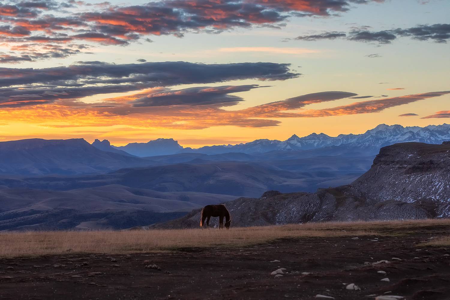 , Александр Пашеничев