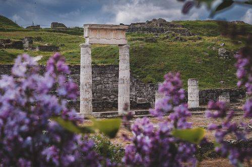 Про сиреневый полис.