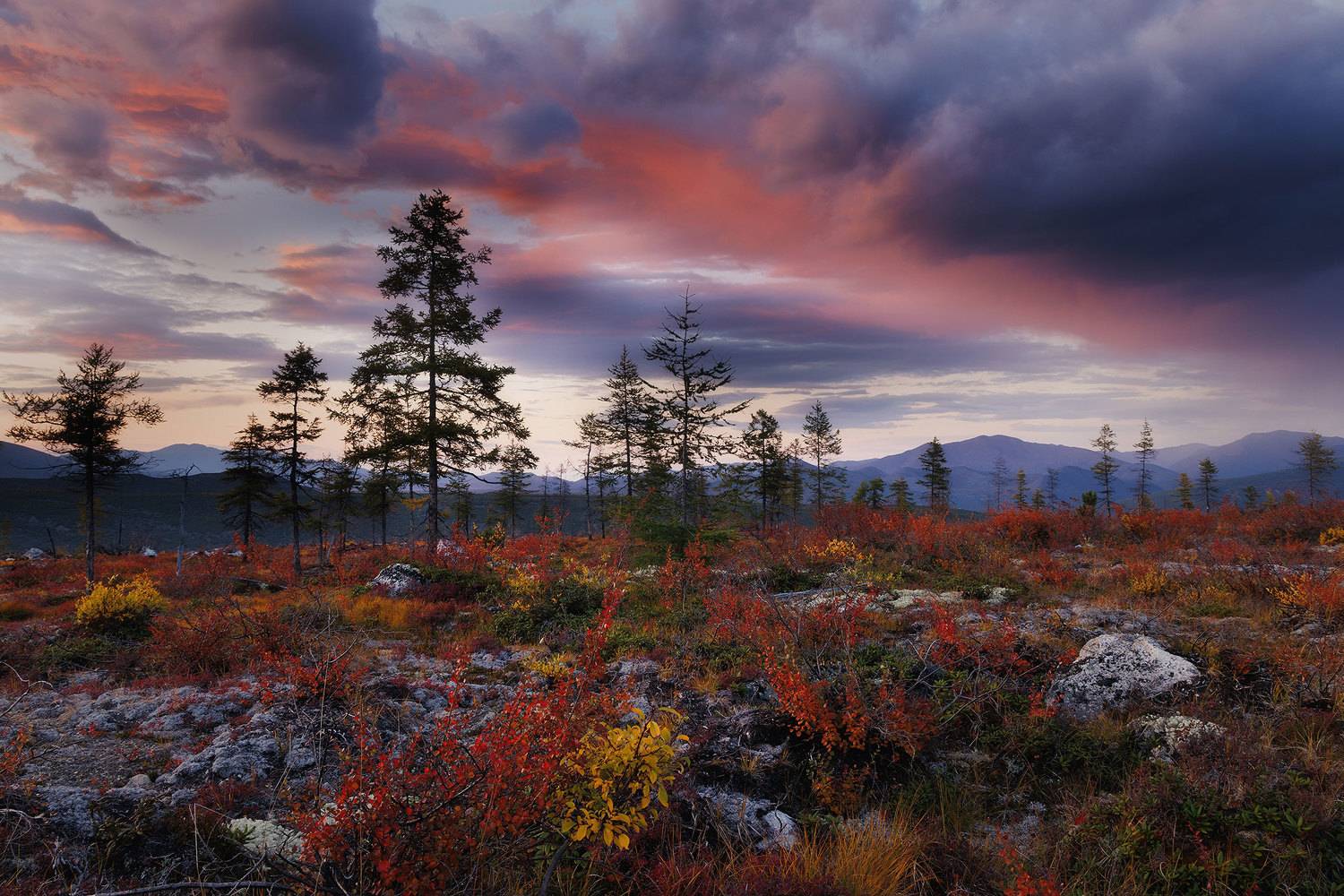 , Морозов Сергей