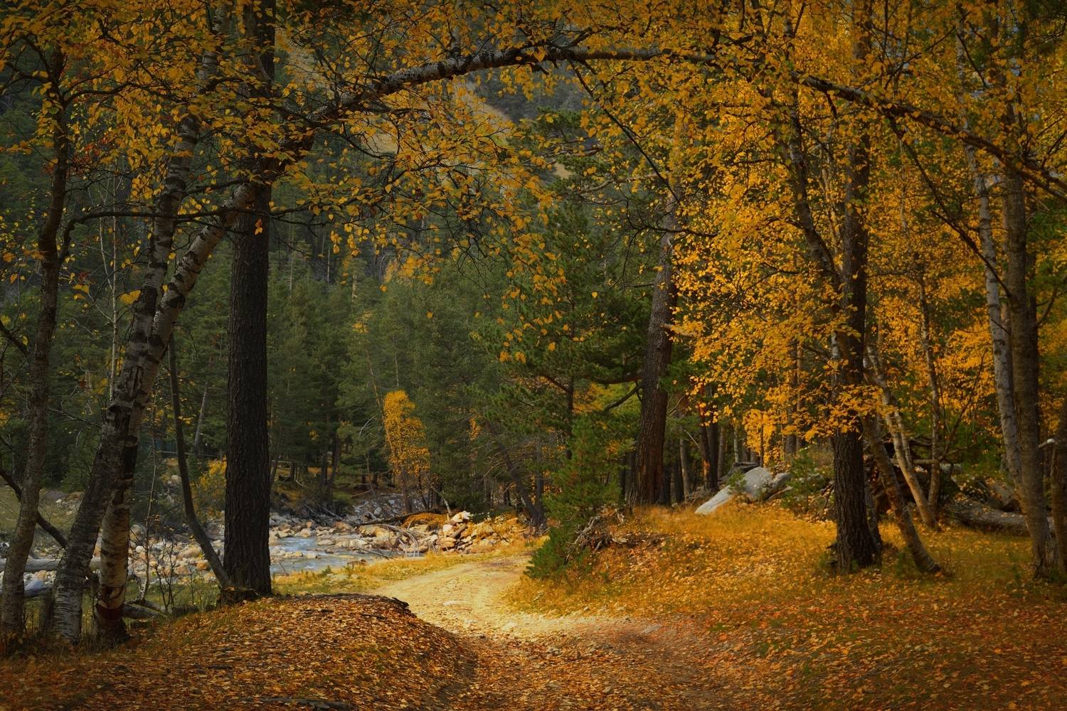 горы осень узункол, Александр Жарников