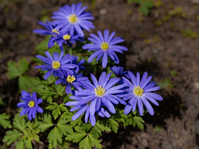 Апрельские этюды фото превью