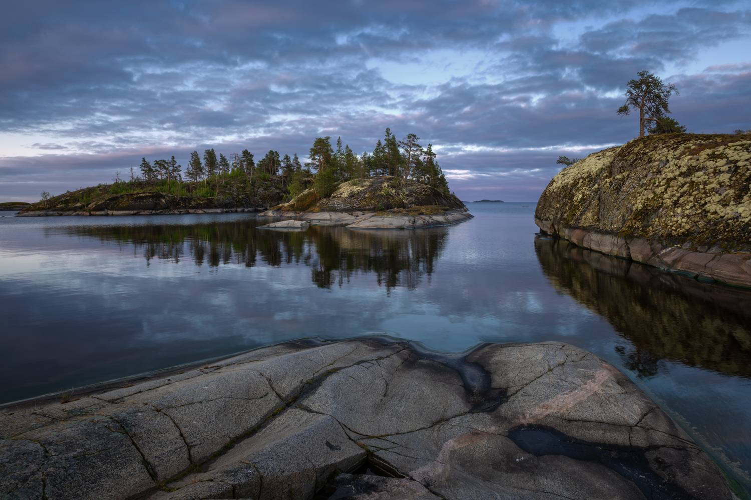 , Максим Евдокимов
