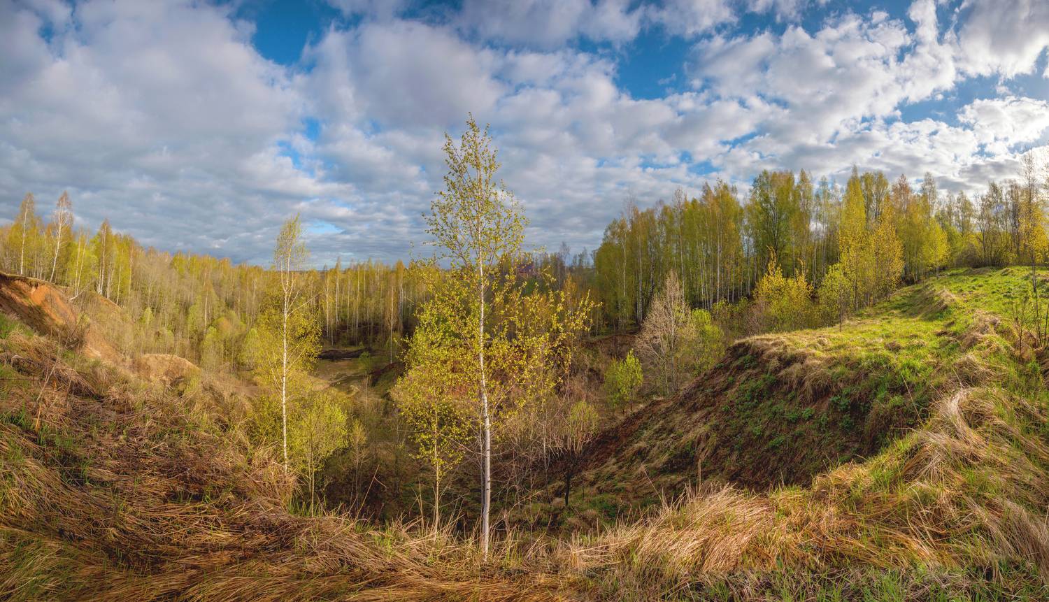 весна, лес, облака, Свистков Александр