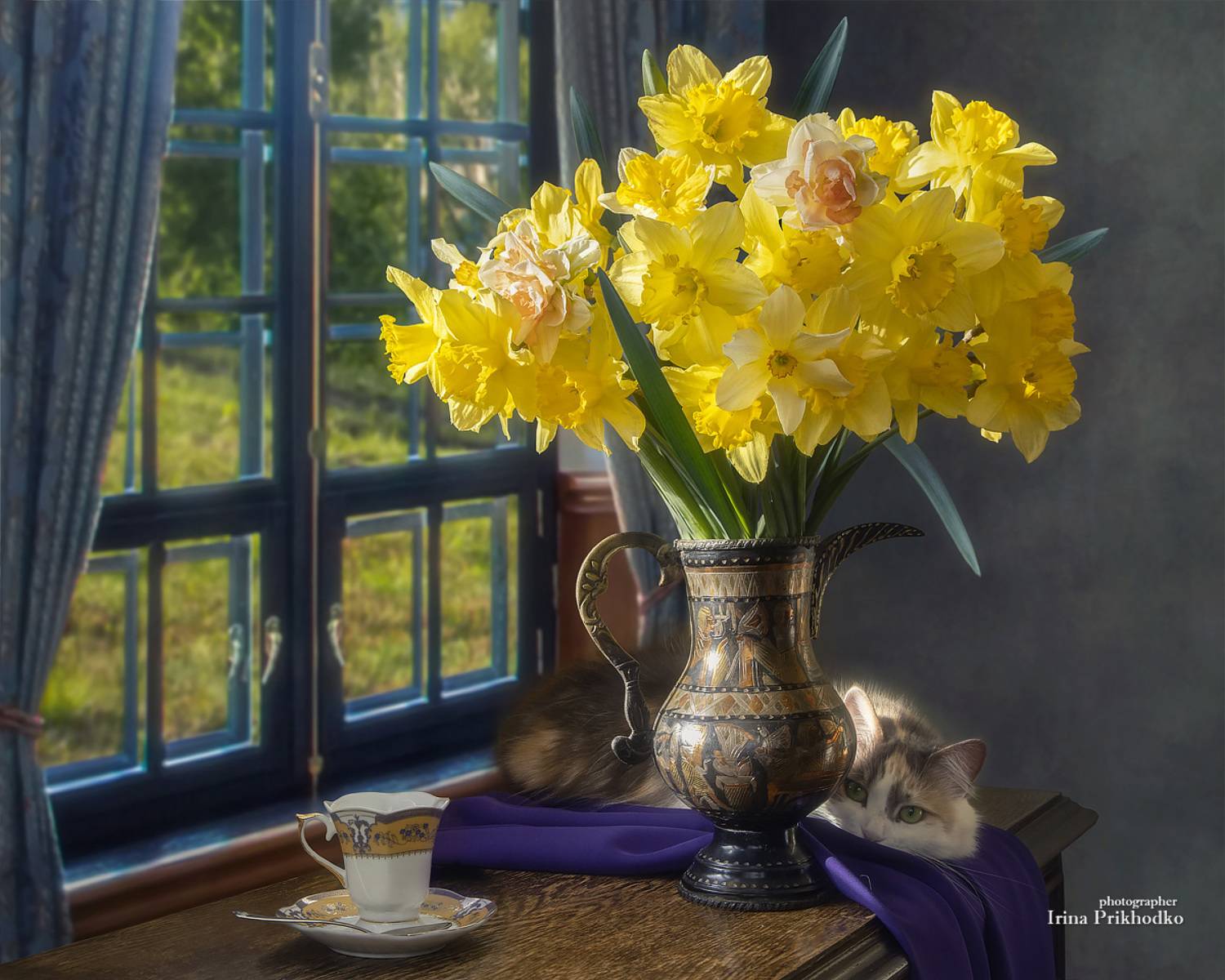 натюрморт, цветы, нарциссы, букеты, интерьер, кошка, домашние животные, питомцы, Приходько Ирина