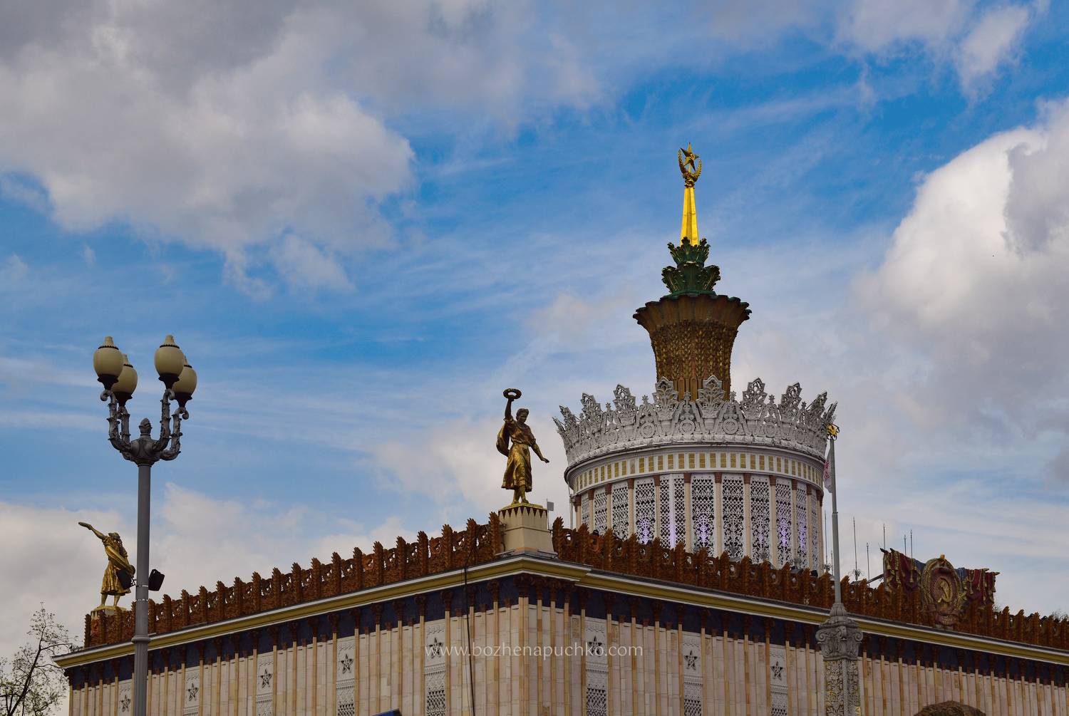 , Божена Пучко