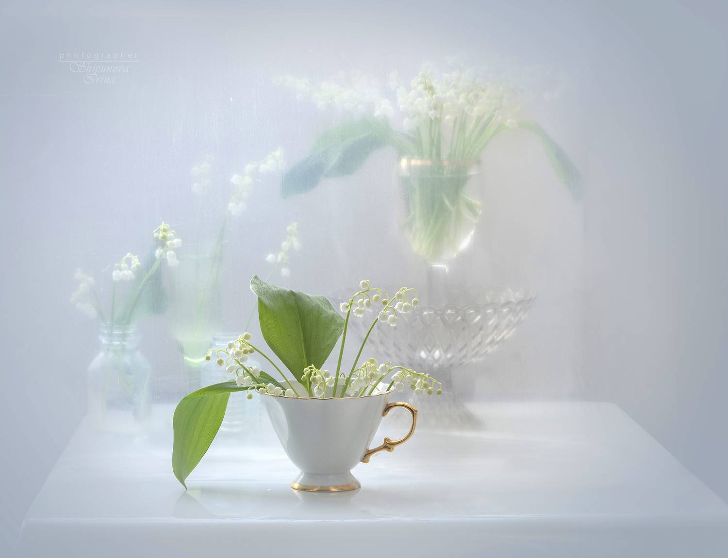 , Ирина Шипунова