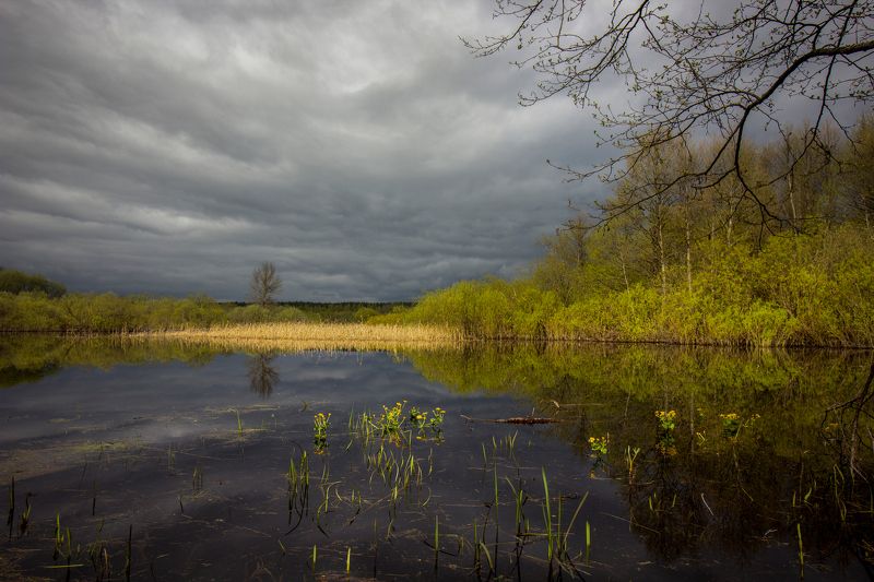Облачно, с прояснениями. фото превью