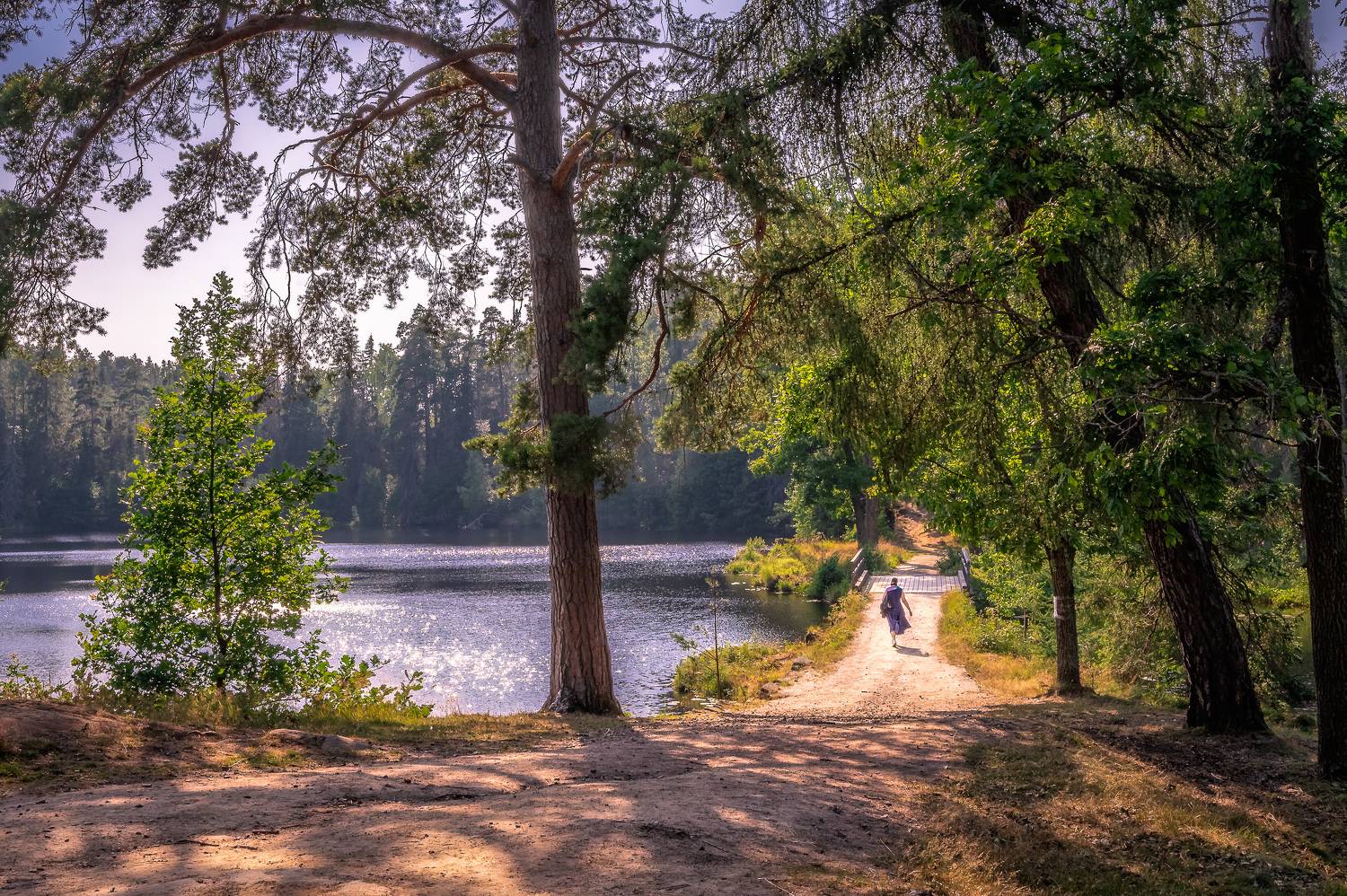 , Васильев Андрей