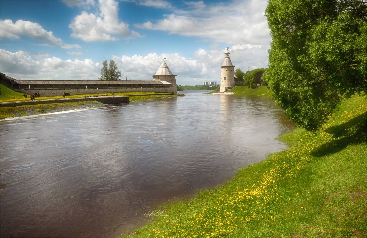 река одуванчики башни, Вера Петри