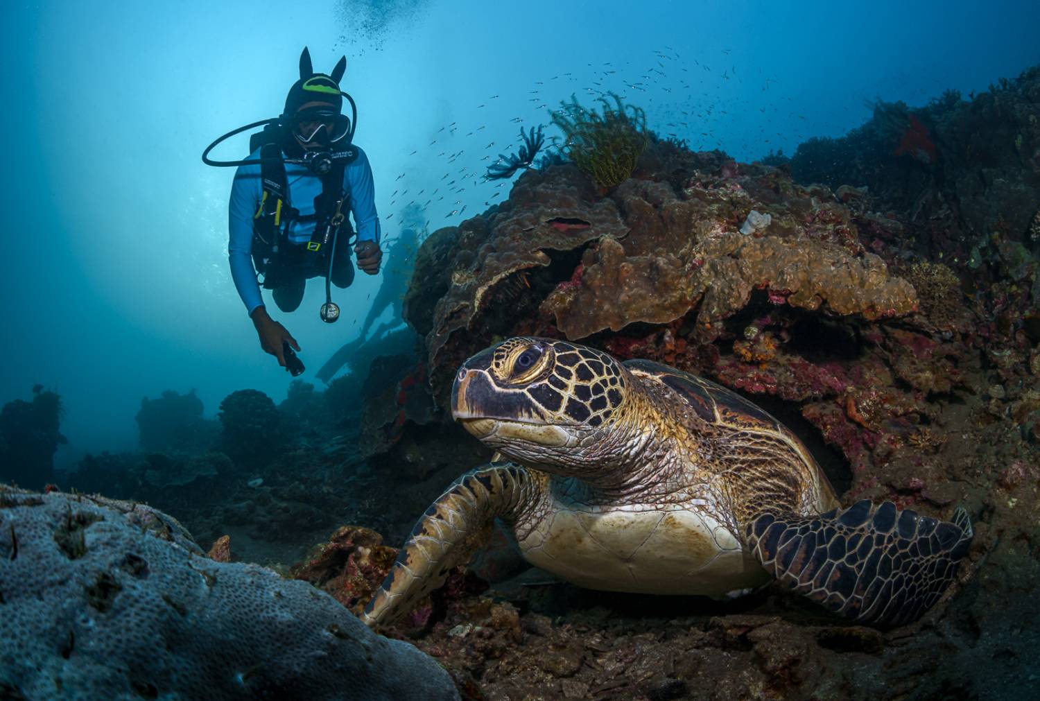 , Савин Андрей