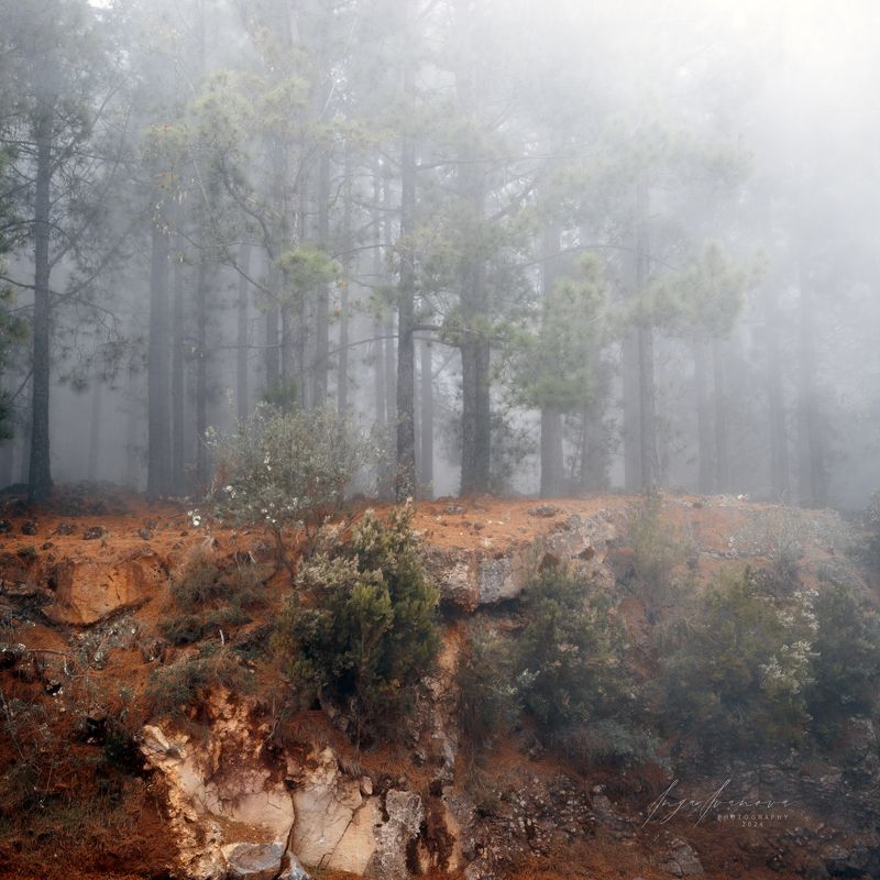 Teide, Canary Islands Tenerife фото превью