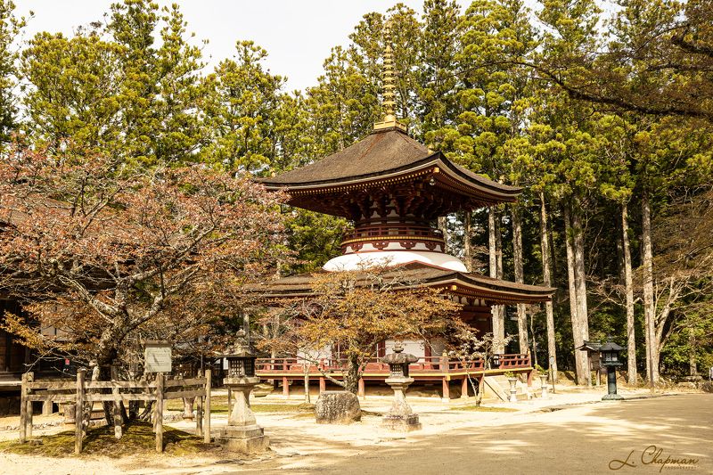 Japan, Koya фото превью