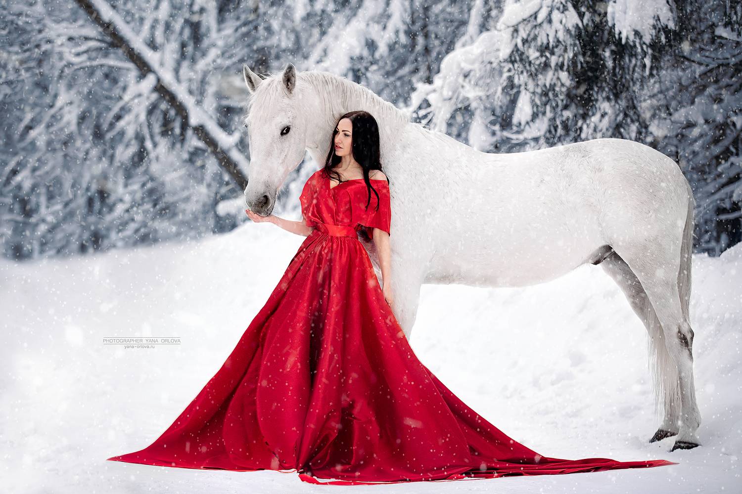 horse, horses, лошадь, конь, конный фотограф Яна Орлова, конныйфотограф, кэнон, canon, 7020028, лошади, фотографияслошадью, фотосессияслошадью, фотосессиислошадьми, коннаяфотография, pferd, horsephotographer, женский портрет, девушка , Яна Орлова