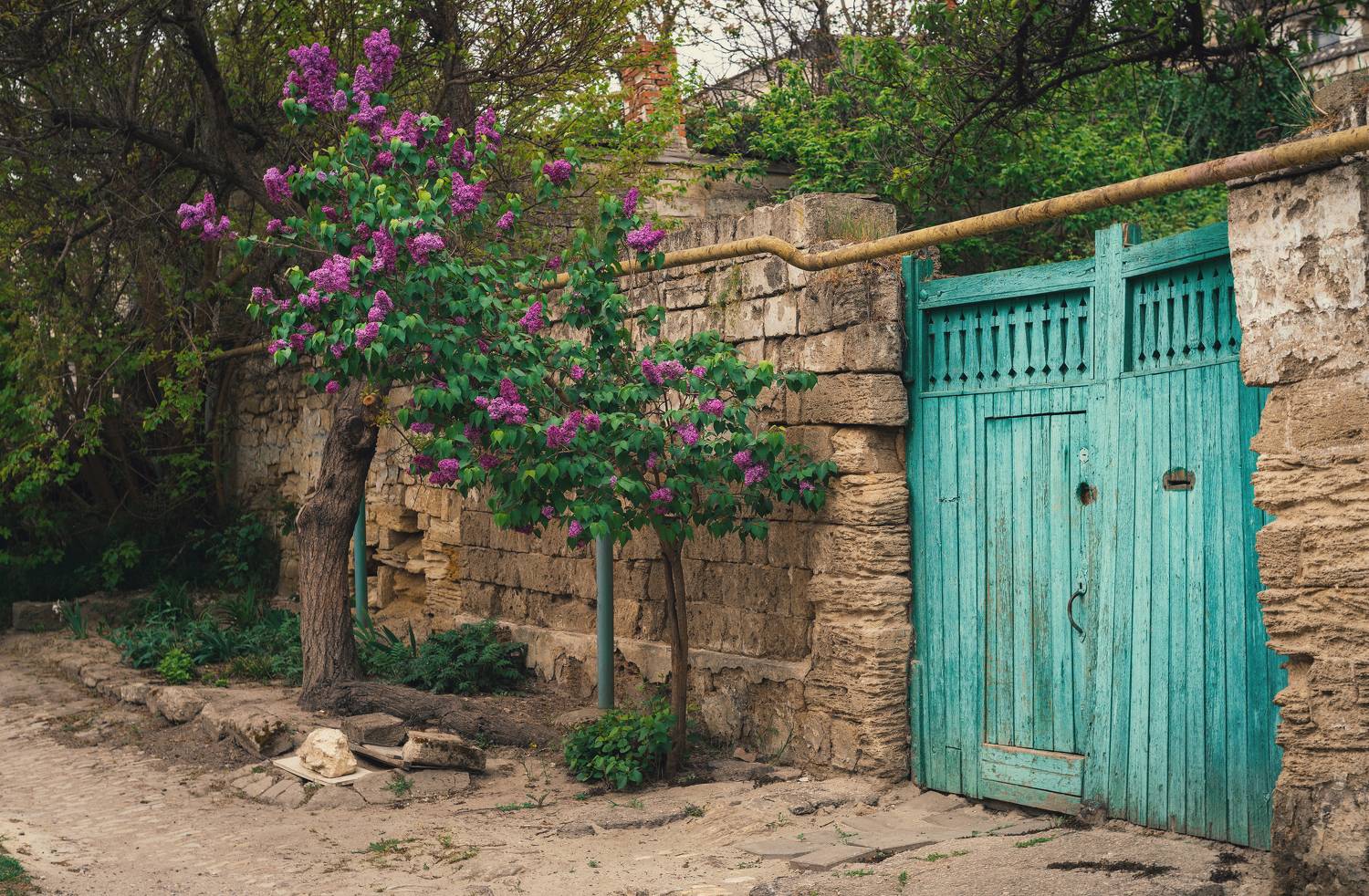 весна, город, улица, дом, цветение, сирень, старинное, пейзаж, стрит, уличное, винтажная оптика, мануальный фокус, mc helios 77m-4, керчь, крым, россия, Щербак Анатолий