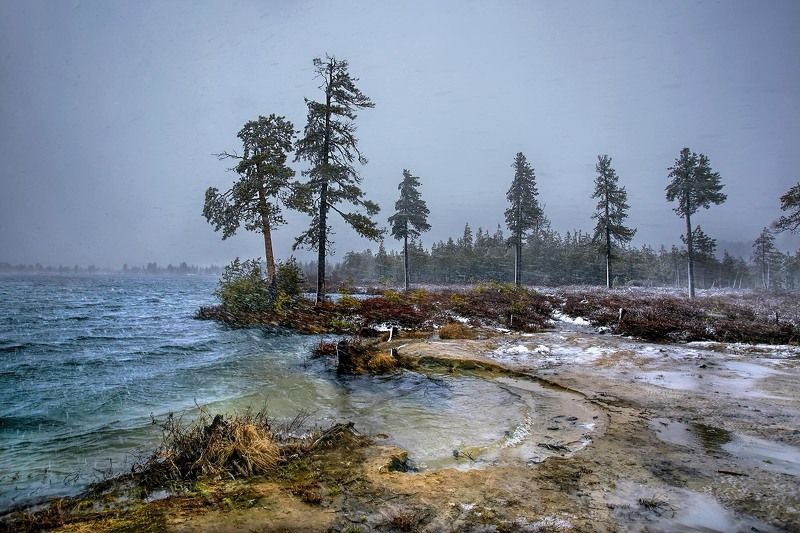 Майский снег фото превью