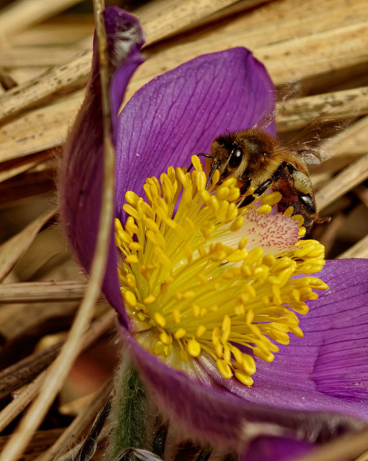 , Кузнецов Дмитрий
