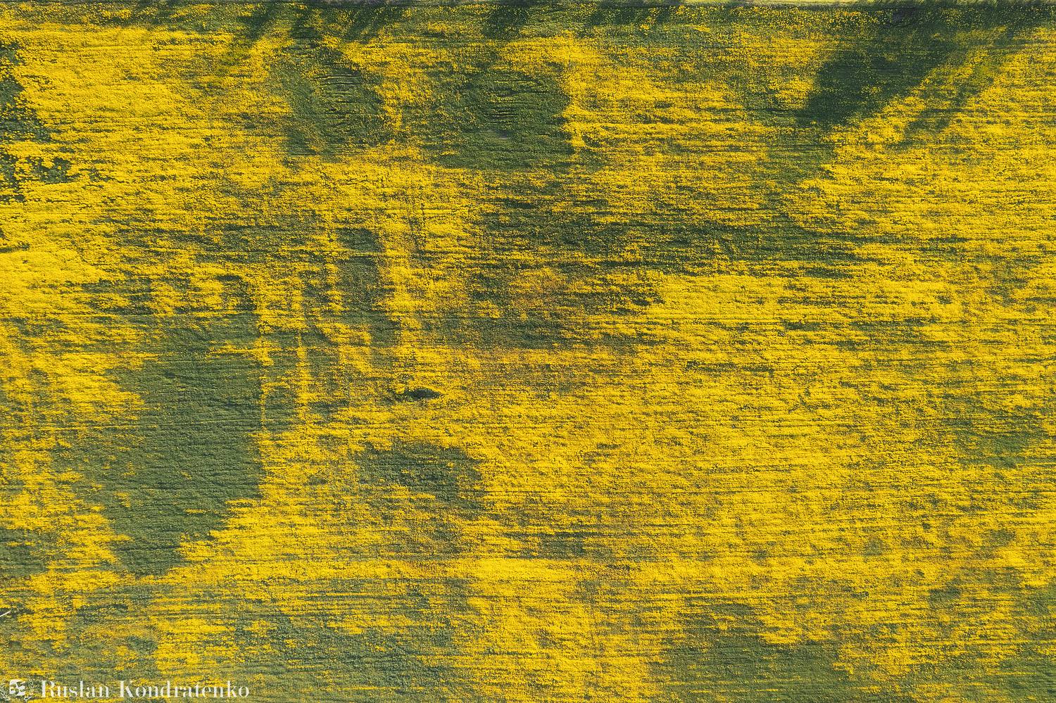 ленинградская область, аэрофото, аэрофотография, дрон, съемка с дрона, Кондратенко Руслан