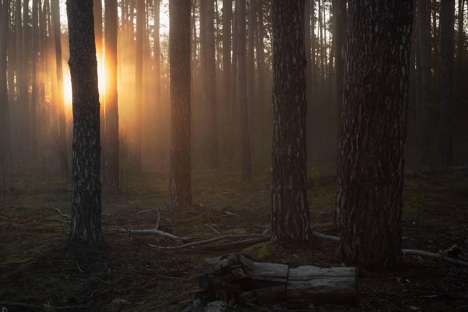 , Захаров Дмитрий