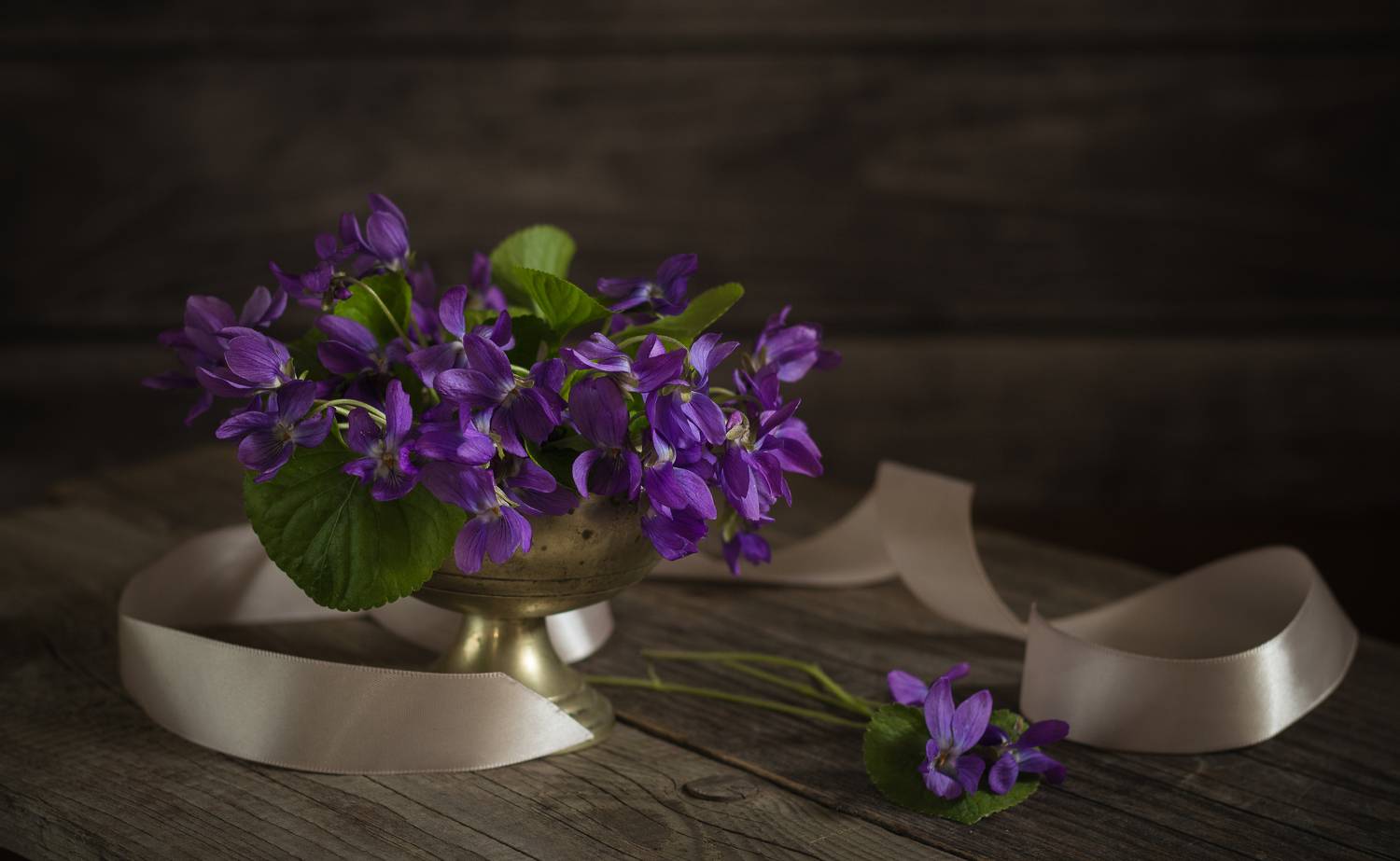 , Хвойнова Елена