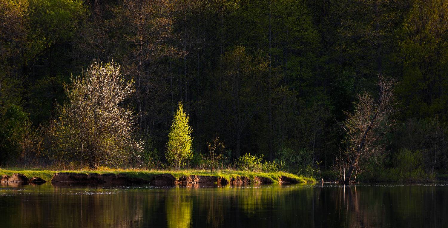 , Михаил Кушнер