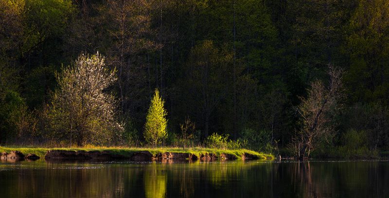 Горит весна на берегу фото превью