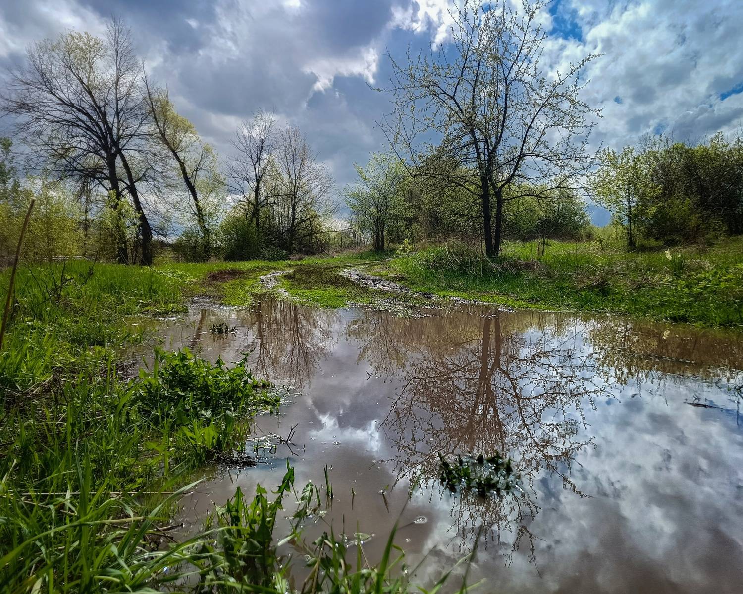 , Кондрашова Светлана