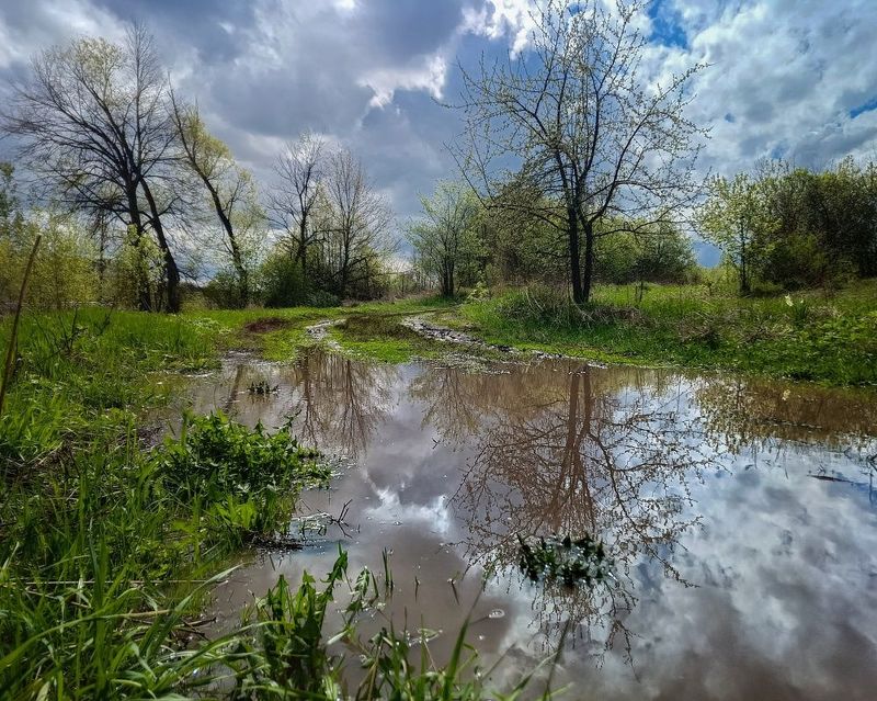 фото превью