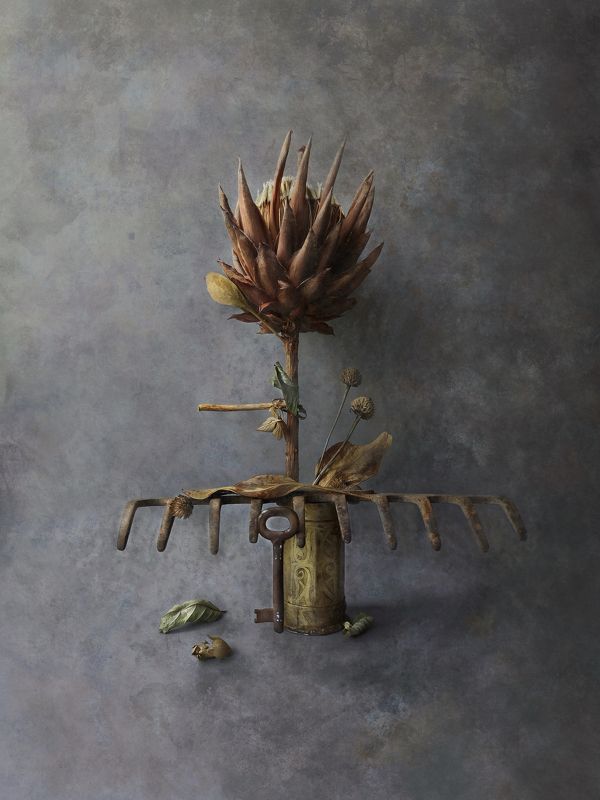 Freedom фото превью