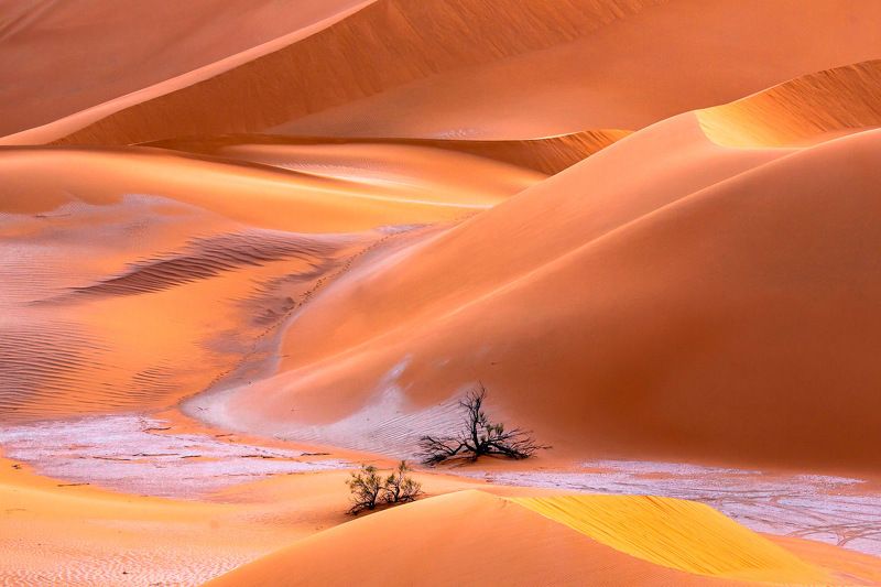 Апрельские куличики фото превью