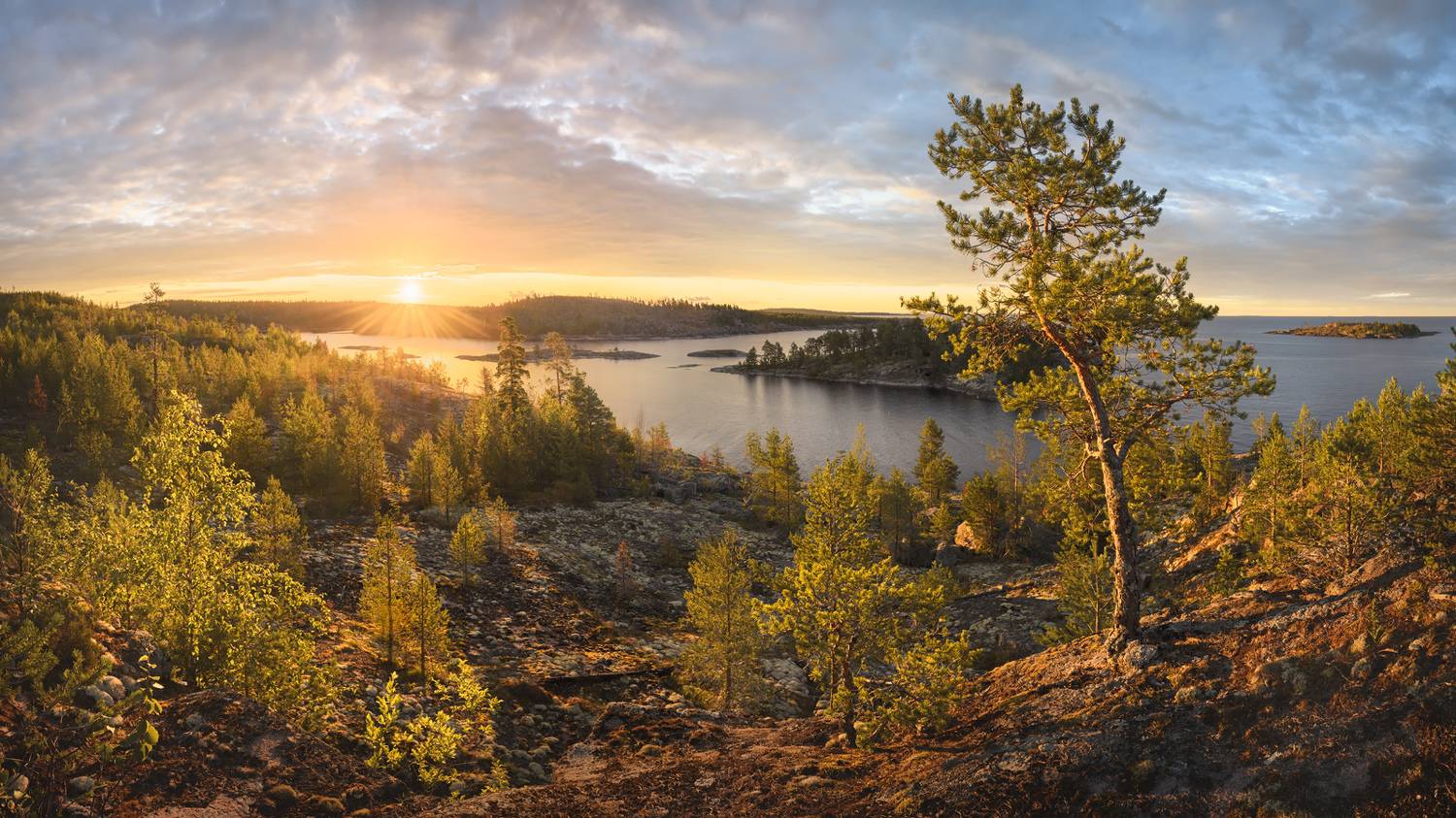 Карелия, Ладога, шхеры, сосна, скалистые острова, пейзажи Карелии, Арсений Кашкаров
