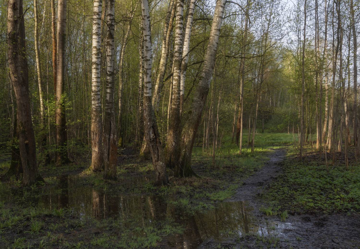 , Бонина Ольга