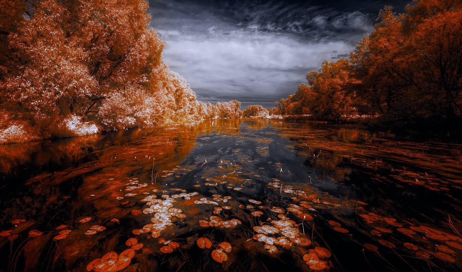 infrared,ик-фото,инфракрасное фото, инфракрасная фотография, пейзаж, лето,  Sixten (Сергей)