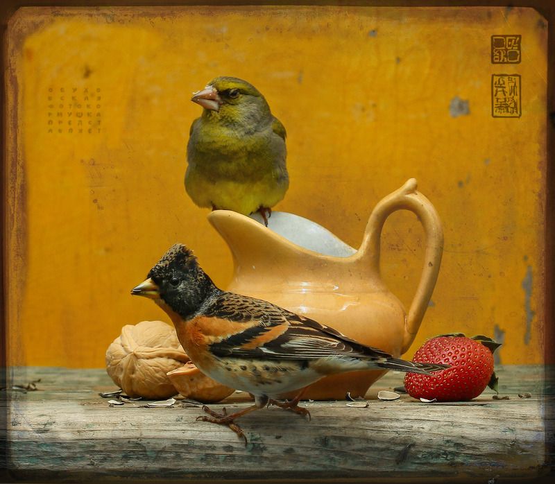 юрок Юрок и Зеленухин фото превью