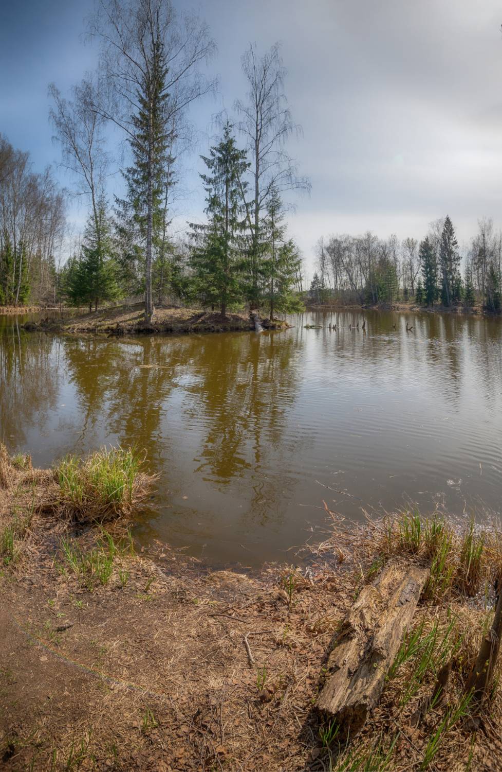 весна, апрель, озеро, остров, Сергей Аникин